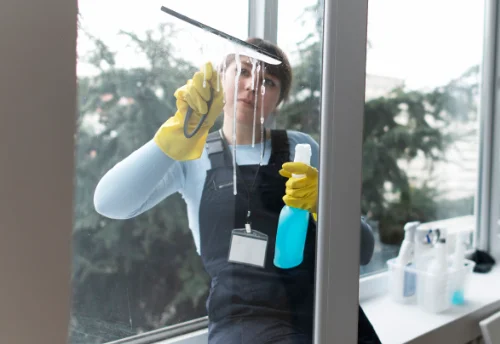 Nettoyage de vitres intérieures et extérieures à Saint-Pierre-des-Nids